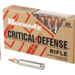 HRNDY CD 223REM 55GR FTX 20/200