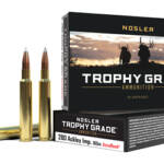 NOSLER 280 ACK IMP 160GR AB 20/200