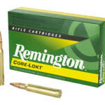 REM 3006 165GR PSP CL 20/200