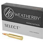 WBY AMMO 257WBY 100GR HRNDY INTER