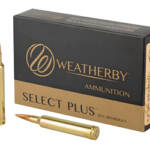 WBY AMMO 6.5-300WBY 156GR EOL 20/200