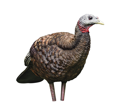 LCD BREEDER HEN