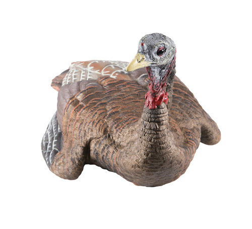 LCD LAYDOWN HEN
