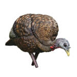 LCD FEEDER HEN DECOY