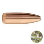 22 CALIBER GAMEKING - 55 GR, HPBT, 100/BX