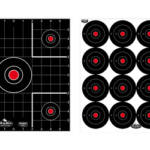 B/C DIRTY BIRD COMBO TARGETS 12PK