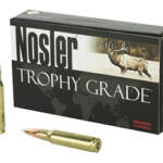 NOSLER 308WIN 165GR AB 20/200