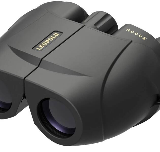 LEUPOLD BINOCULAR BX1 ROGUE 8X25  BLK