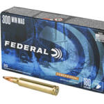 FED PWRSHK 300WIN 180GR SP 20/200