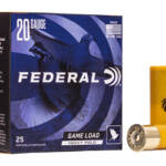 FED GMSHK 20GA 2 3/4" #6 25/250