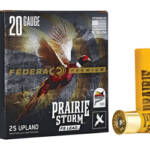 FED PR STORM 20GA 3" #6 LEAD 25/250