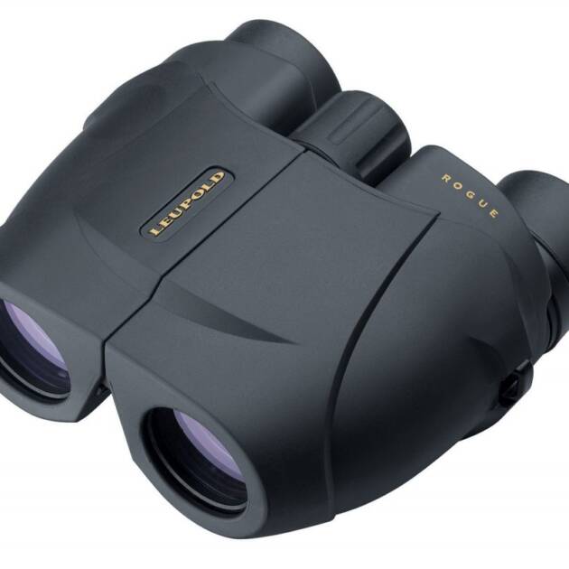 LEUPOLD BINOCULAR BX1 ROGUE 10X25  BLK