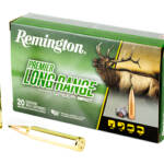REM SPEER IMPACT 300WIN 190GR 20/200