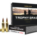 NOSLER TGA 22 CREED 70GR AB 20/200