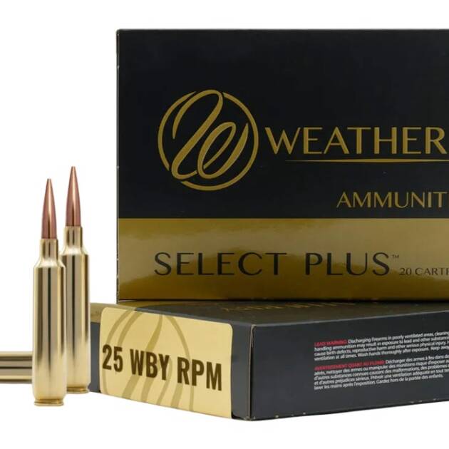WEATHERBY 25WBY RPM 117GR HORNADY SST