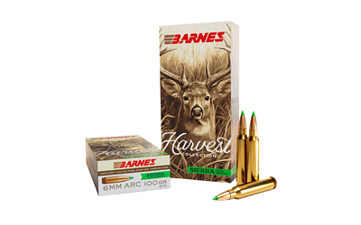 BARNES HARV ST 6MM ARC 100GR 20/200