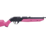 CROSMAN 760 PUMPMASTER .177/BB PNK